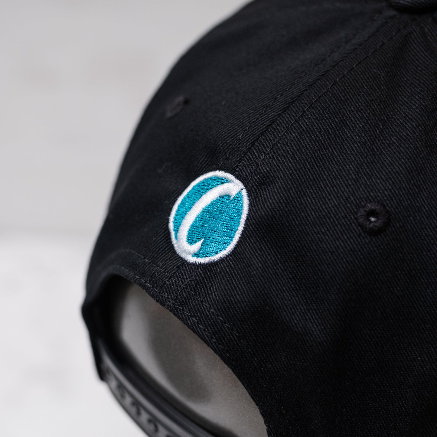 The C Cap Snapback