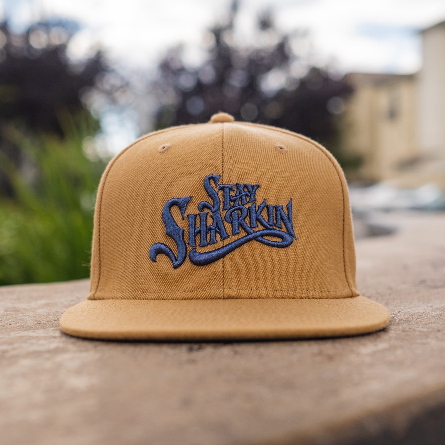 Stay Sharkin Midnight Hour Cap in Camel